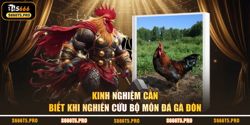 Kinh nghiệm cần biết khi nghiên cứu bộ môn đá gà đòn