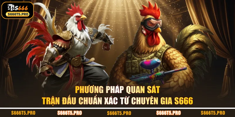 Phương pháp quan sát trận đấu chuẩn xác từ chuyên gia S666