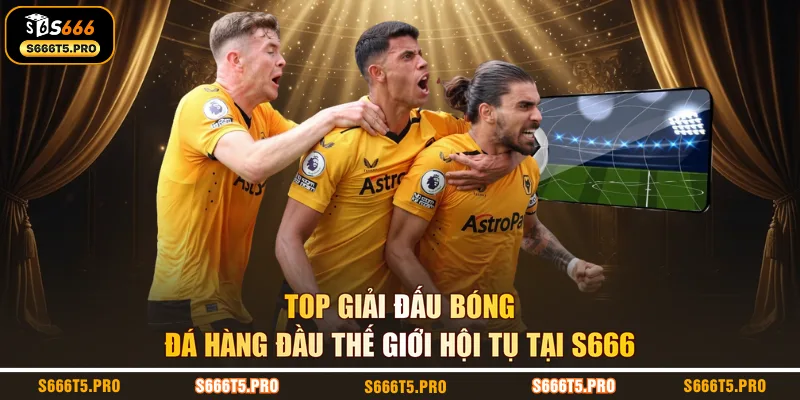 Top Giải Đấu Bóng Đá Hàng Đầu Thế Giới Hội Tụ Tại S666